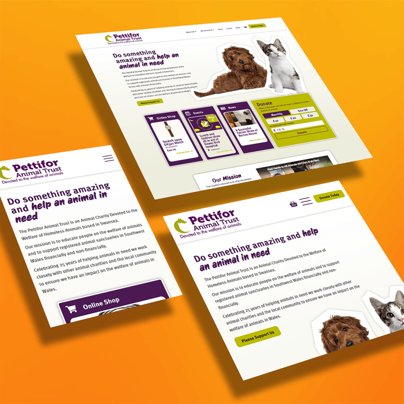 Pettifor Trust - website